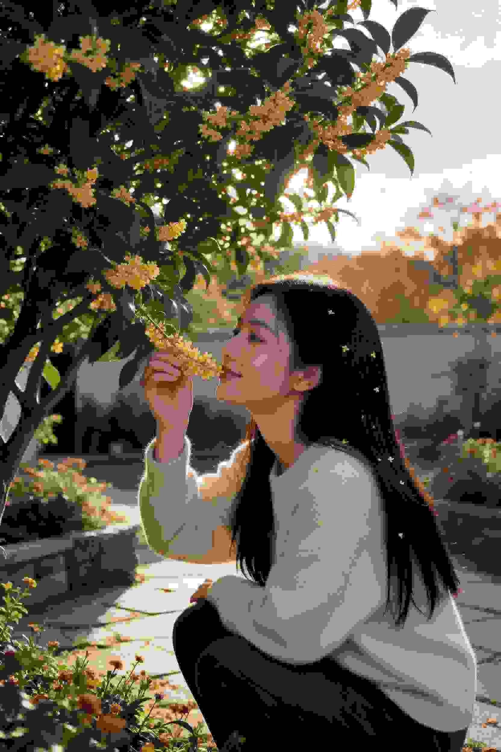 恶魔高校